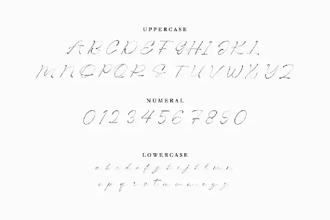 NCL Molqtis font