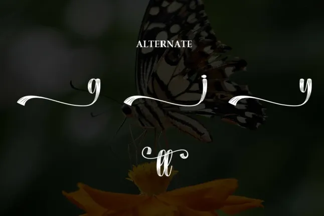 Butterfly Script Typeface font