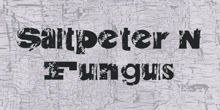 Saltpeter N Fungus font