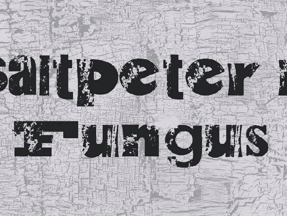 Saltpeter N Fungus font