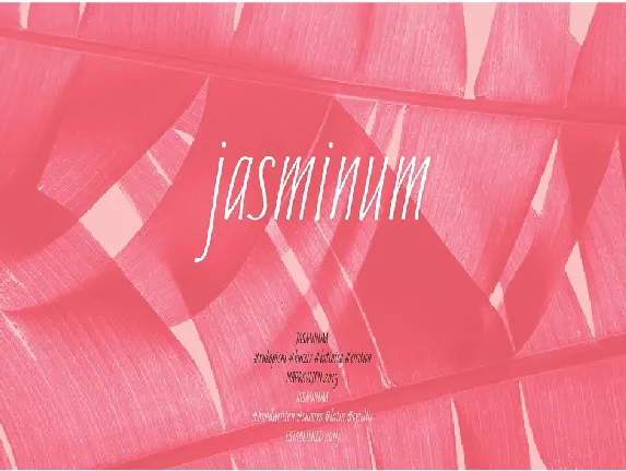 Jasminum Handwriting Free font