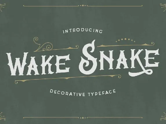 Wake Snake font