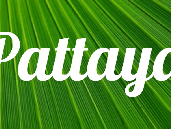 Pattaya font