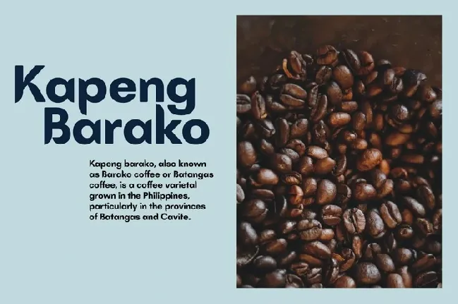 Batangas font