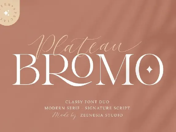 Bromo Plateau Duo font