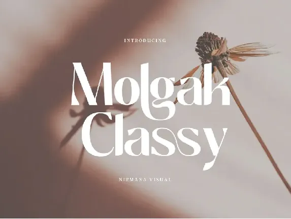 Molgak Classy font