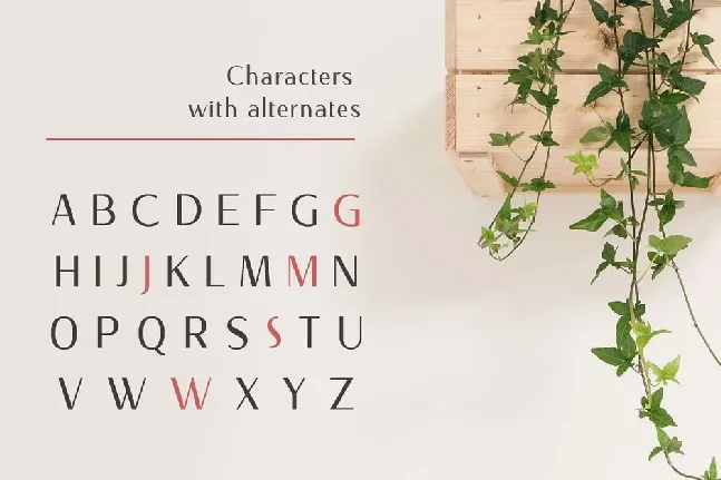 Nourishe font