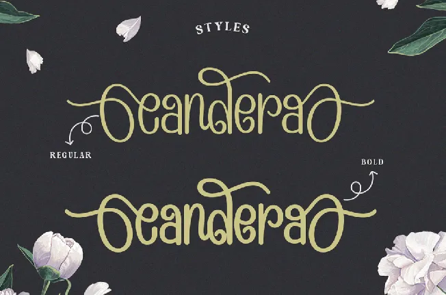 Candera font