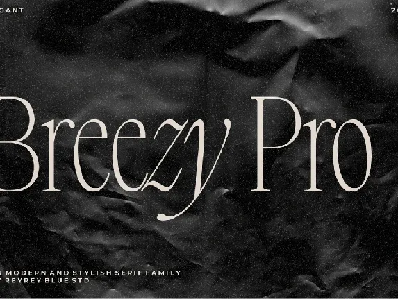 Breezy Pro font