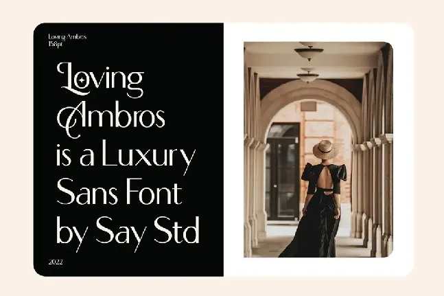 Loving Ambros font