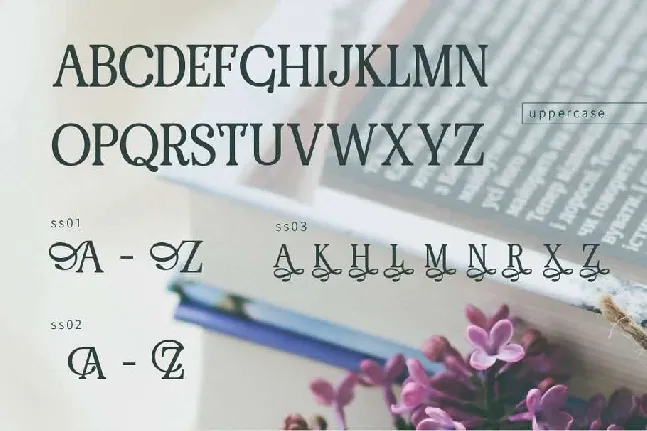 Renda font