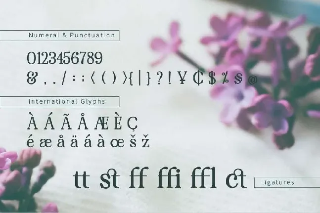 Renda font