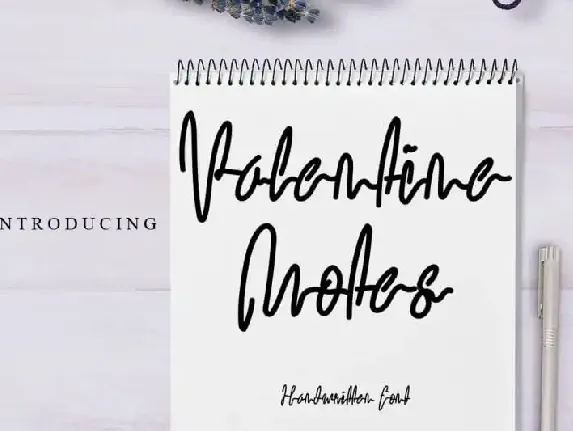 Valentine Notes Script font