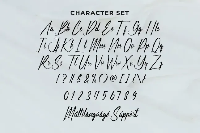 Reiley Demo font