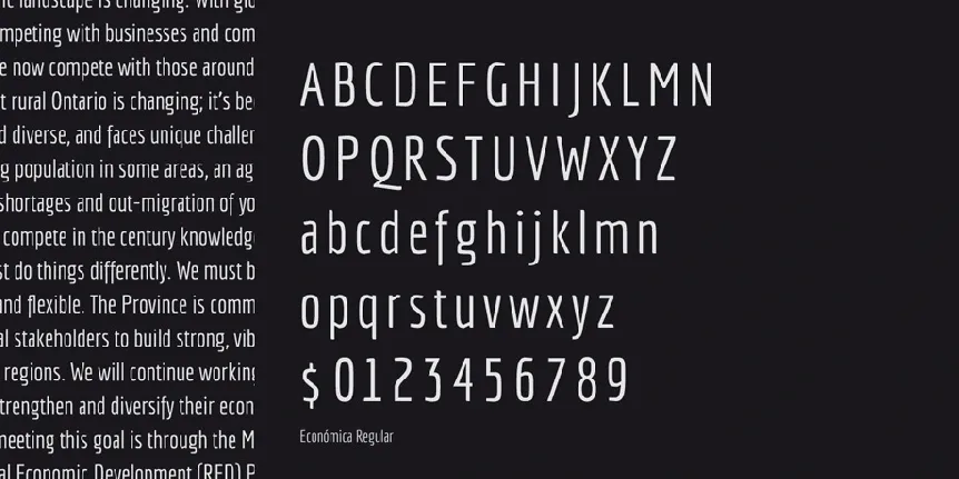 Economica font