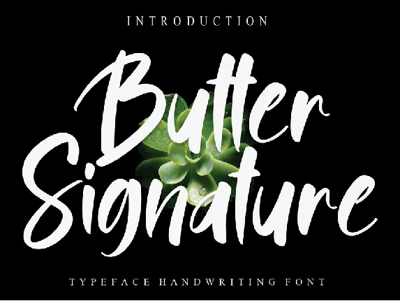 Butter Signature font