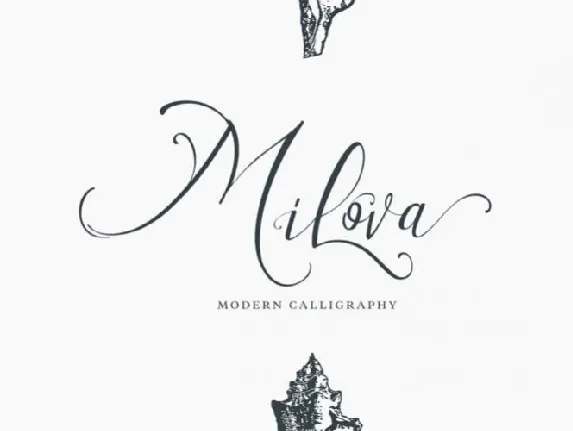 Milova Calligraphy font