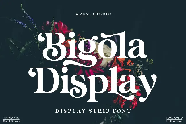 Bigola Display font