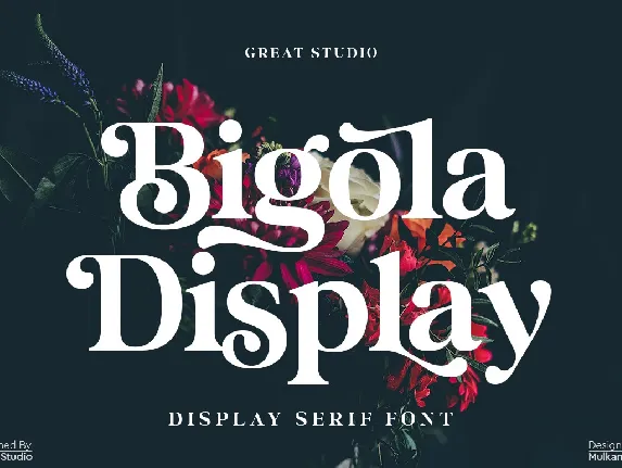 Bigola Display font