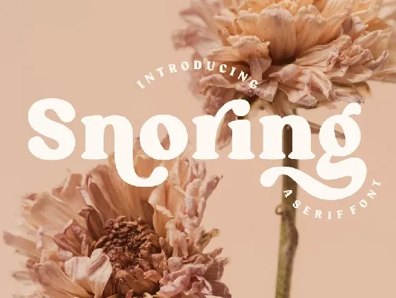 Snoring font