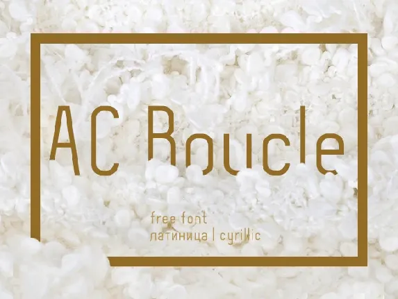 AC Boucle font