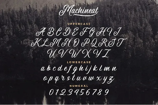 Machineat Script font