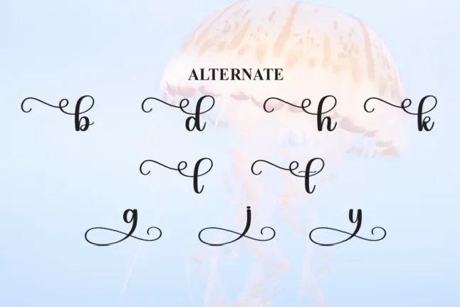 Jellyfish Script font