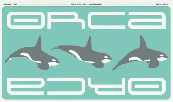 Orca Display font