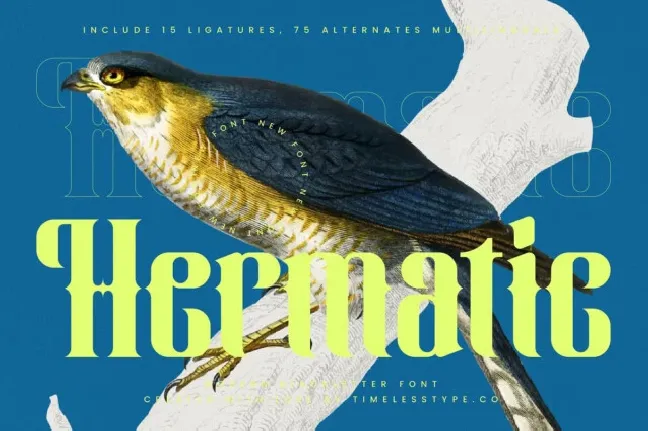 Hermatic font