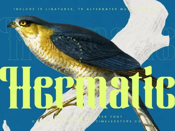 Hermatic font