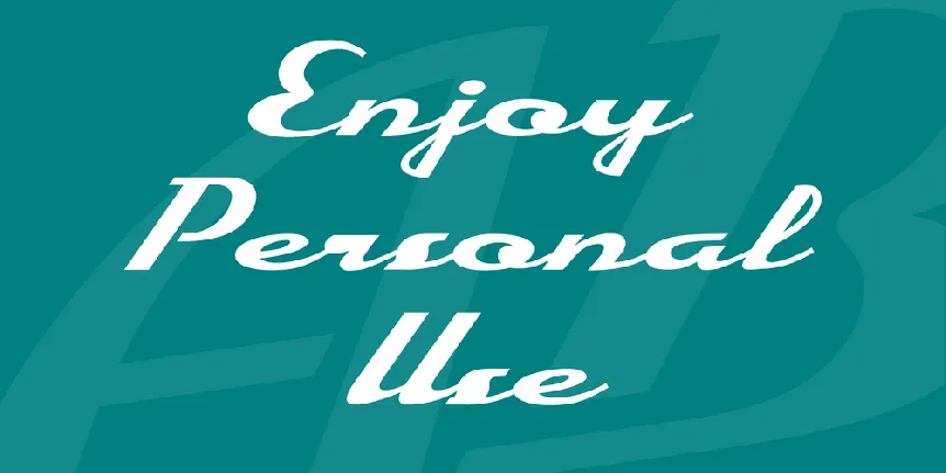 Enjoy Personal Use font