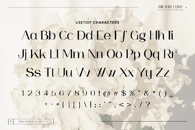 Usetoit font