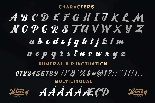 The Brocky font