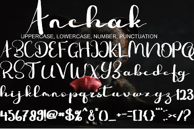 anchak font