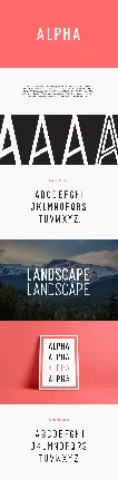 Alpha Family font