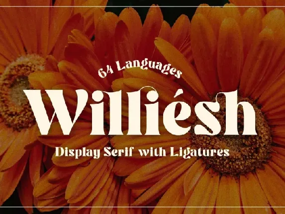 Williesh font