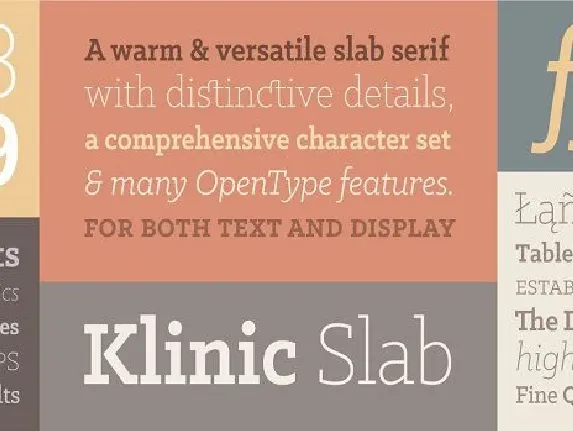 Klinic Slab Family font