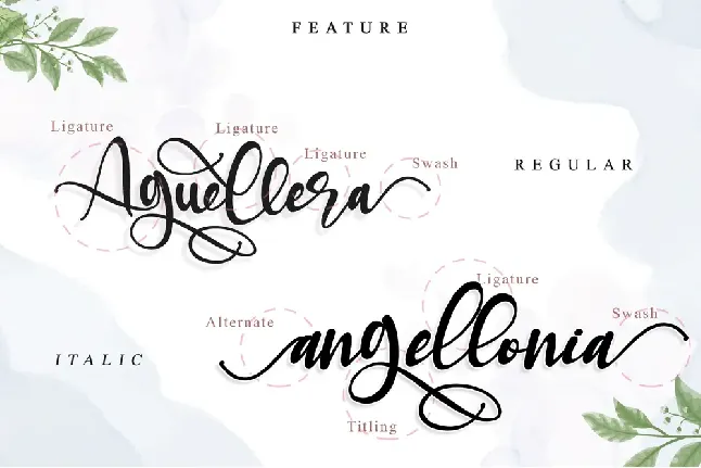 Aguellera font