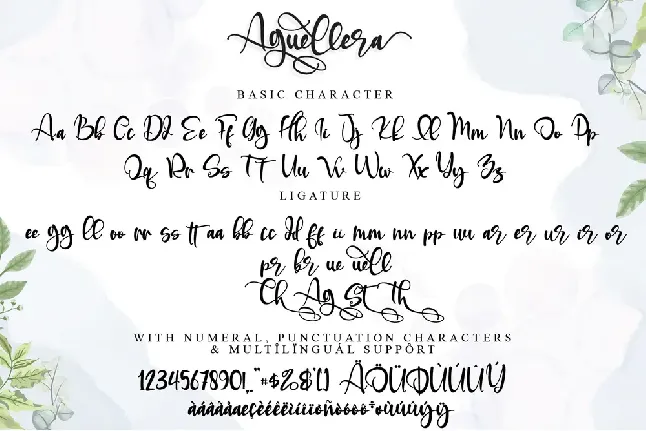 Aguellera font