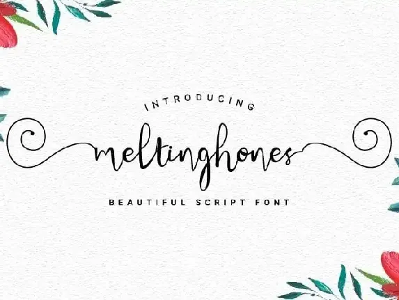 Meltinghones Calligraphy font