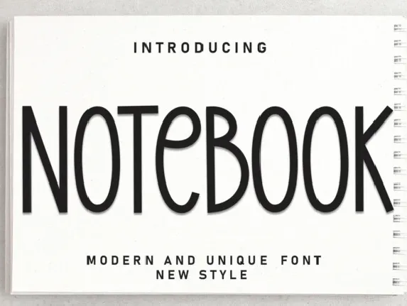 Notebook Display font