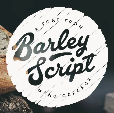 Barley Script PERSONAL USE font