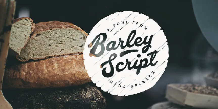 Barley Script PERSONAL USE font