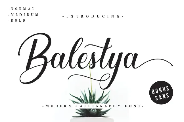 Balestya Medium font