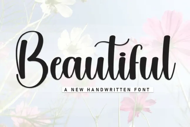 Beautiful Script Typeface font