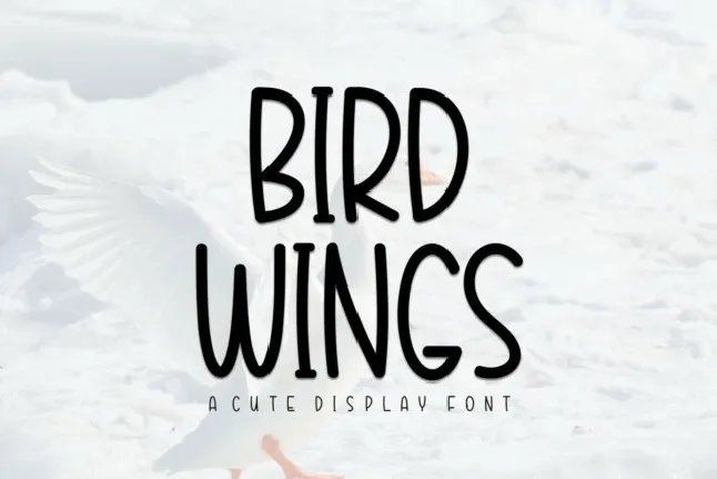 Bird Wings Display font