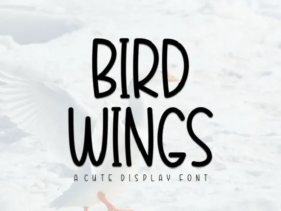 Bird Wings Display font