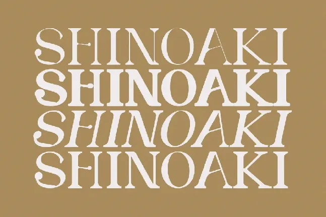 SHINOAKI Serif font