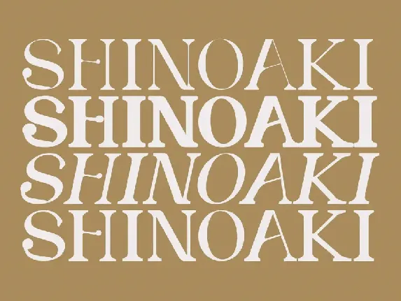 SHINOAKI Serif font