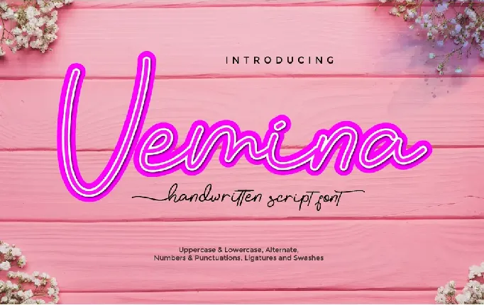 Vemina Handwritten Scipt font